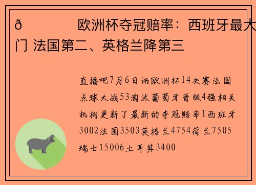 🏆️欧洲杯夺冠赔率：西班牙最大热门 法国第二、英格兰降第三